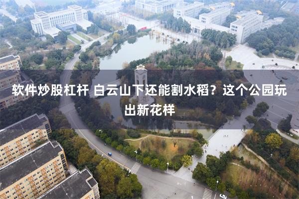 软件炒股杠杆 白云山下还能割水稻？这个公园玩出新花样