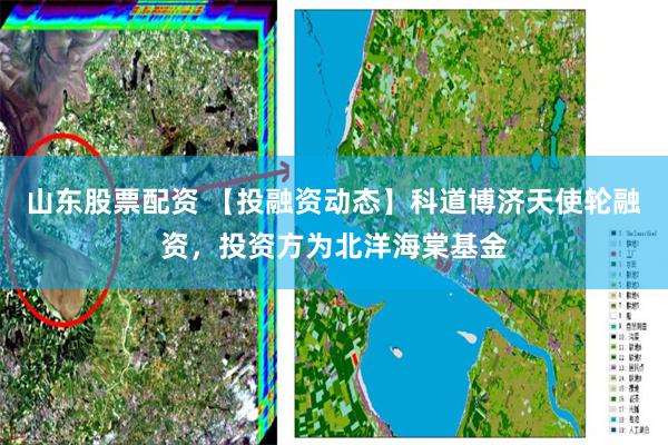 山东股票配资 【投融资动态】科道博济天使轮融资，投资方为北洋海棠基金