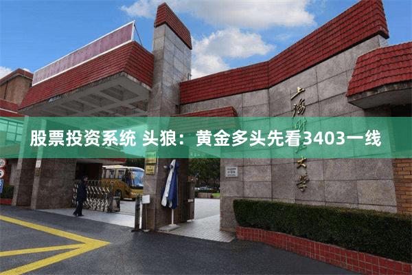 股票投资系统 头狼：黄金多头先看3403一线