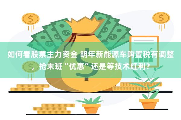 如何看股票主力资金 明年新能源车购置税有调整，抢末班“优惠”还是等技术红利？