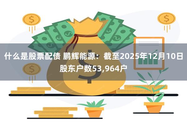 什么是股票配债 鹏辉能源：截至2025年12月10日股东户数53,964户