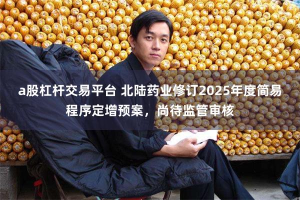 a股杠杆交易平台 北陆药业修订2025年度简易程序定增预案，尚待监管审核