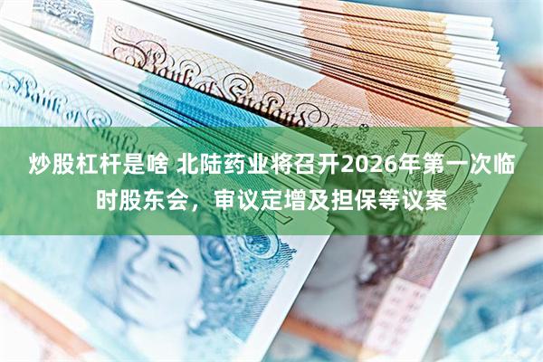 炒股杠杆是啥 北陆药业将召开2026年第一次临时股东会，审议定增及担保等议案