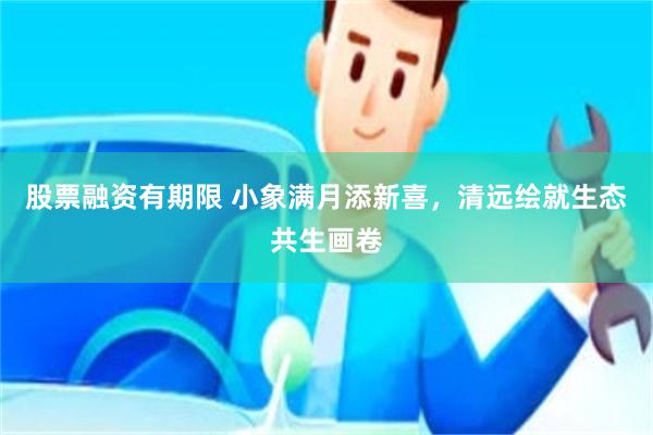 股票融资有期限 小象满月添新喜，清远绘就生态共生画卷