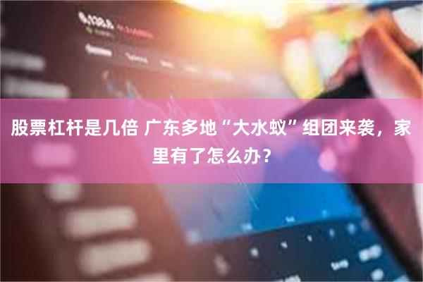 股票杠杆是几倍 广东多地“大水蚁”组团来袭，家里有了怎么办？