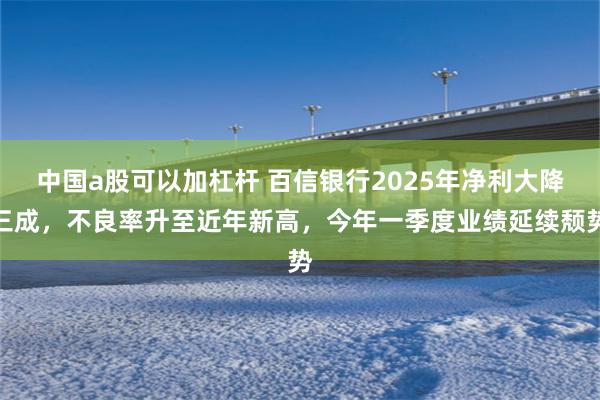 中国a股可以加杠杆 百信银行2025年净利大降三成，不良率升至近年新高，今年一季度业绩延续颓势