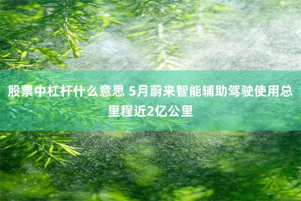 股票中杠杆什么意思 5月蔚来智能辅助驾驶使用总里程近2亿公里