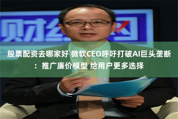 股票配资去哪家好 微软CEO呼吁打破AI巨头垄断：推广廉价模型 给用户更多选择