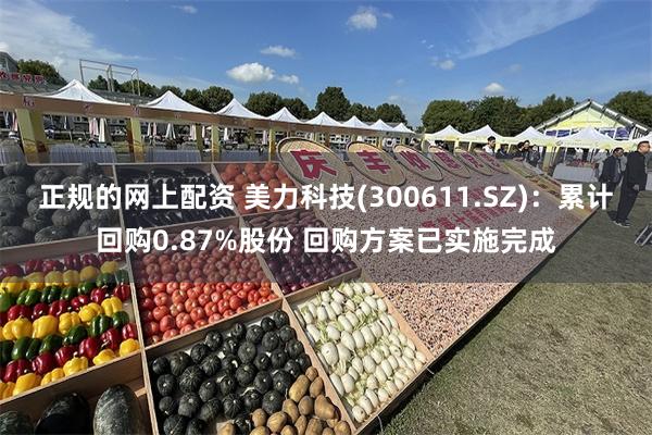 正规的网上配资 美力科技(300611.SZ)：累计回购0.87%股份 回购方案已实施完成
