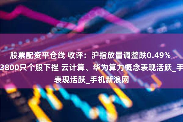 股票配资平仓线 收评：沪指放量调整跌0.49% 全市场近3800只个股下挫 云计算、华为算力概念表现活跃_手机新浪网