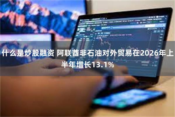 什么是炒股融资 阿联酋非石油对外贸易在2026年上半年增长13.1%