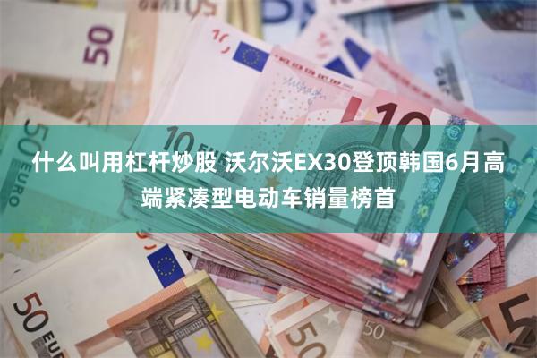 什么叫用杠杆炒股 沃尔沃EX30登顶韩国6月高端紧凑型电动车销量榜首