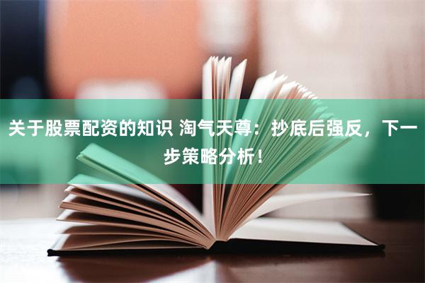 关于股票配资的知识 淘气天尊：抄底后强反，下一步策略分析！
