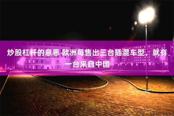 炒股杠杆的意思 欧洲每售出三台插混车型，就有一台来自中国