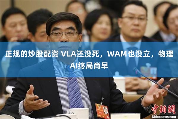 正规的炒股配资 VLA还没死，WAM也没立，物理AI终局尚早