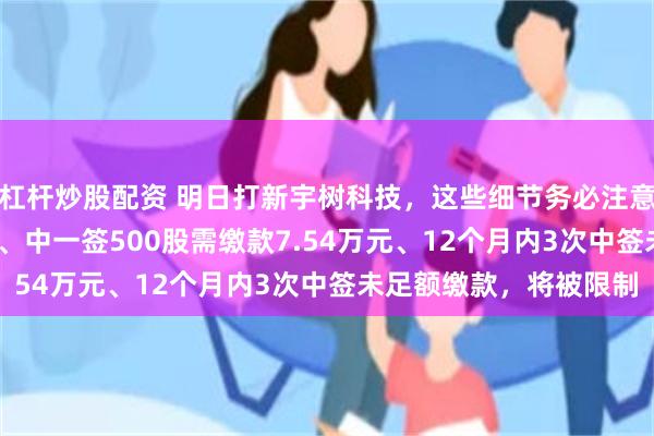杠杆炒股配资 明日打新宇树科技，这些细节务必注意：申购上限为6000股、中一签500股需缴款7.54万元、12个月内3次中签未足额缴款，将被限制