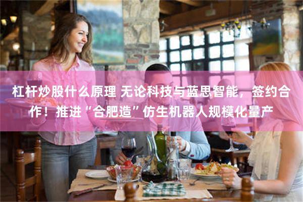 杠杆炒股什么原理 无论科技与蓝思智能，签约合作！推进“合肥造”仿生机器人规模化量产