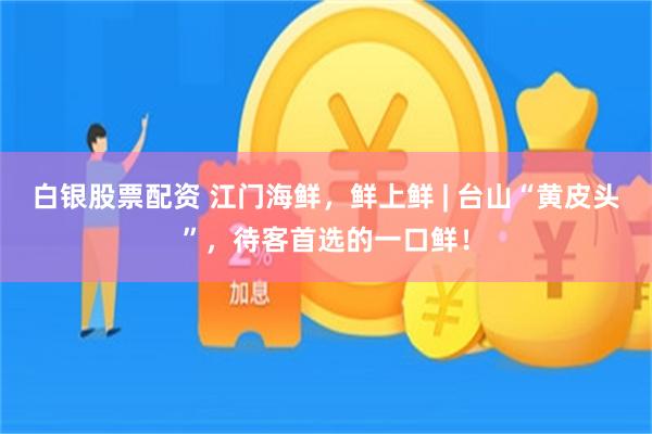 白银股票配资 江门海鲜，鲜上鲜 | 台山“黄皮头”，待客首选的一口鲜！