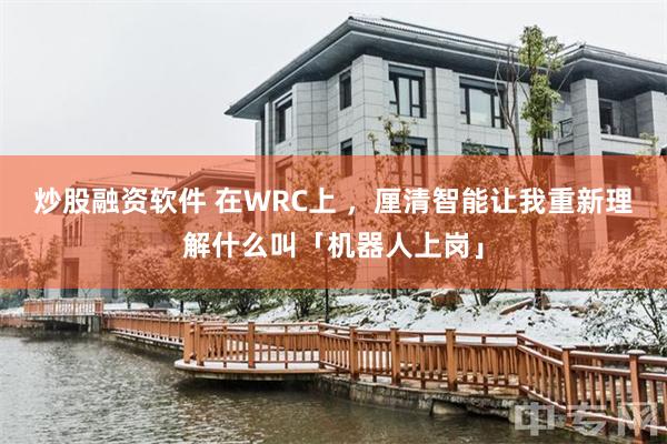 炒股融资软件 在WRC上 ，厘清智能让我重新理解什么叫「机器人上岗」