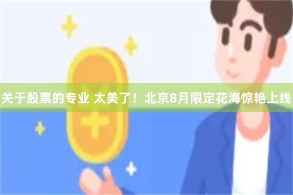 关于股票的专业 太美了！北京8月限定花海惊艳上线