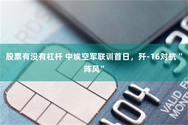 股票有没有杠杆 中埃空军联训首日，歼-16对抗“阵风”