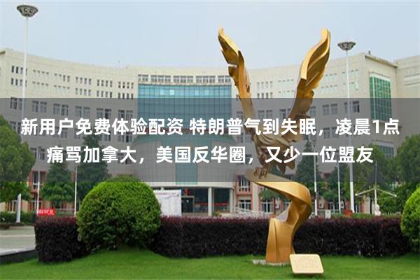新用户免费体验配资 特朗普气到失眠，凌晨1点痛骂加拿大，美国反华圈，又少一位盟友