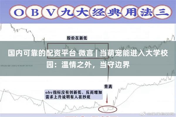 国内可靠的配资平台 微言 | 当萌宠能进入大学校园：温情之外，当守边界