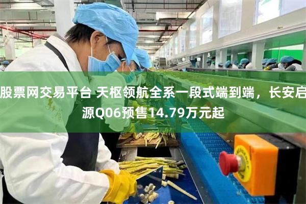 股票网交易平台 天枢领航全系一段式端到端，长安启源Q06预售14.79万元起