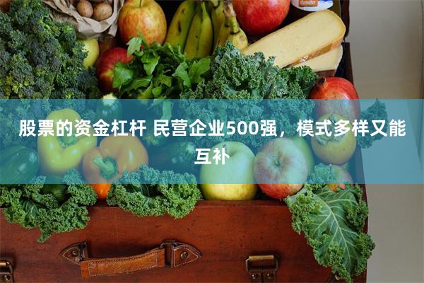 股票的资金杠杆 民营企业500强，模式多样又能互补
