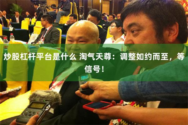 炒股杠杆平台是什么 淘气天尊：调整如约而至，等信号！