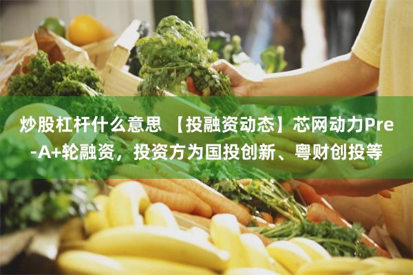炒股杠杆什么意思 【投融资动态】芯网动力Pre-A+轮融资，投资方为国投创新、粤财创投等
