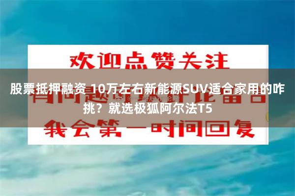 股票抵押融资 10万左右新能源SUV适合家用的咋挑？就选极狐阿尔法T5