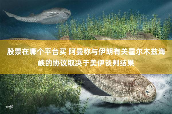 股票在哪个平台买 阿曼称与伊朗有关霍尔木兹海峡的协议取决于美伊谈判结果